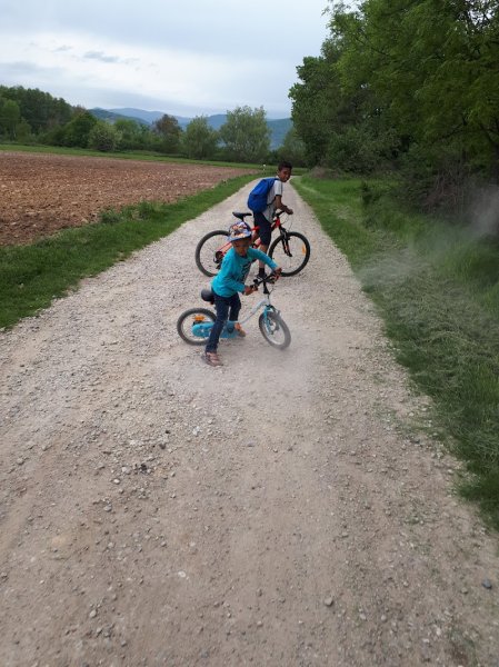 Écurie du Fechtmatten - photo 3