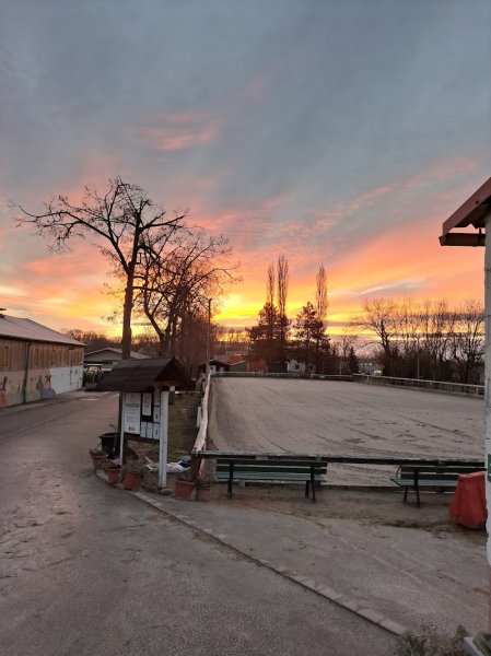 Société Hippique de Colmar - photo 3