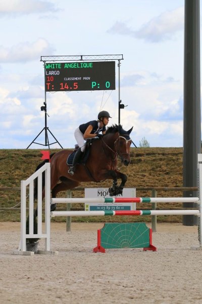 PG TEAM - Equitation Centre Equestre Ribeauvillé - photo 2
