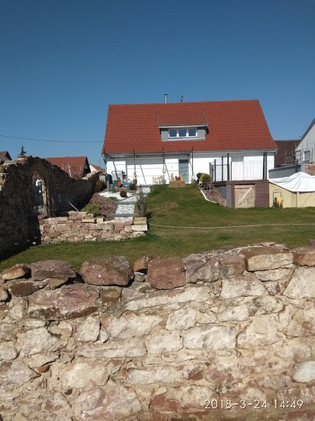 Equivans, équipements équestres et vans pour chevaux