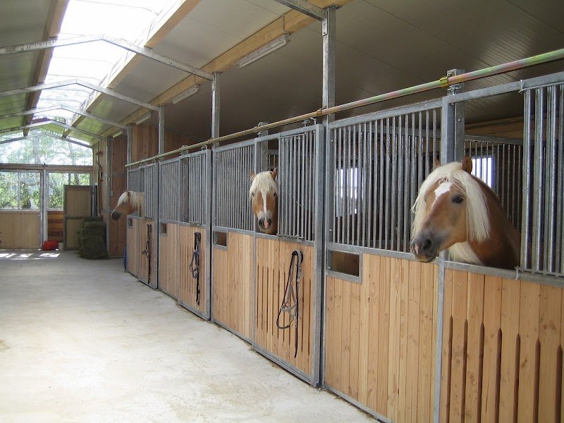 Equivans, équipements équestres et vans pour chevaux - photo 2