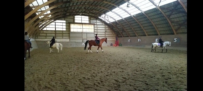 Poneys Et Cie - photo 1