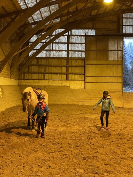 Poneys Et Cie - photo 2