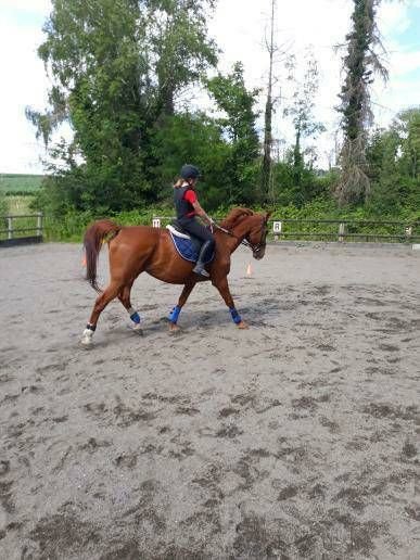 Poneys Et Cie - photo 3