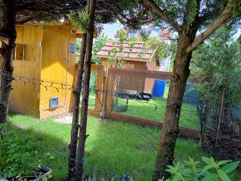 La pension de Osi & Co - photo 3