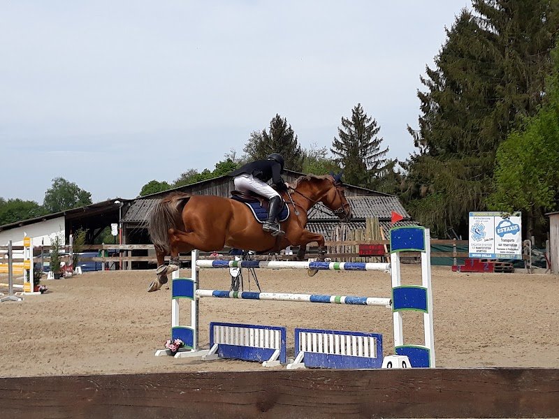 Ecuries du Sundgau - photo 2