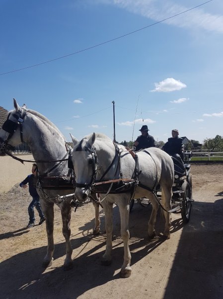 Écurie Jean Warth - photo 2