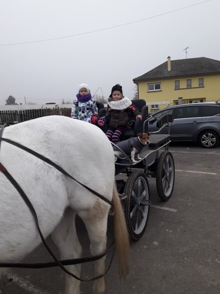 Écurie Jean Warth - photo 3