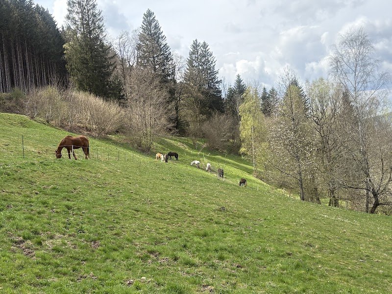 Ferme équestre des ponsez