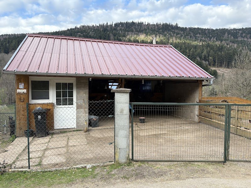 Ferme équestre des ponsez - photo 2