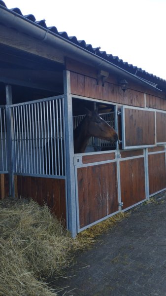 Écurie du Bannot - photo 3