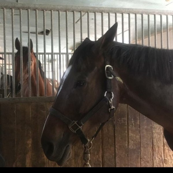 SCEA Ecurie Trophy - photo 1