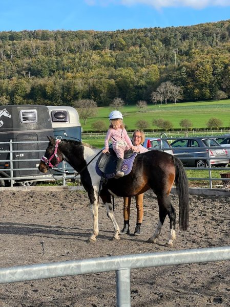 Horses Spirit - photo 2