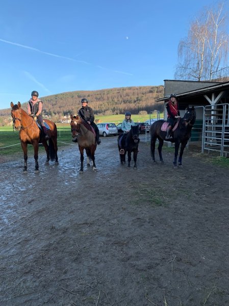 Horses Spirit - photo 3