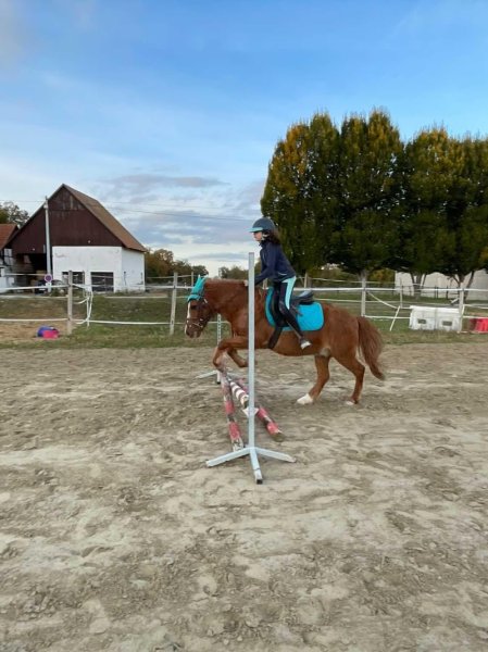 Écurie du Grand Ried