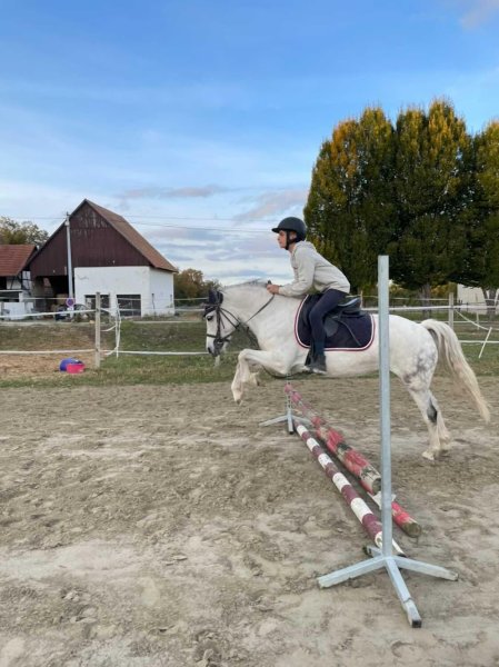 Écurie du Grand Ried - photo 3