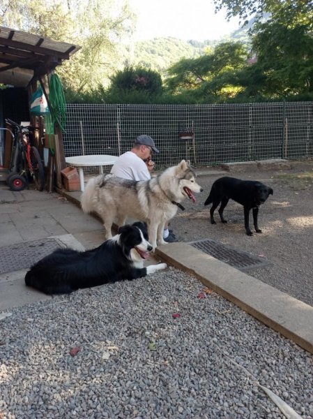 Pension MALO - photo 3