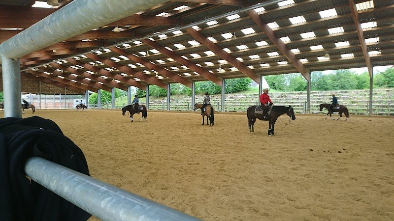 HorseAcademy - photo 2