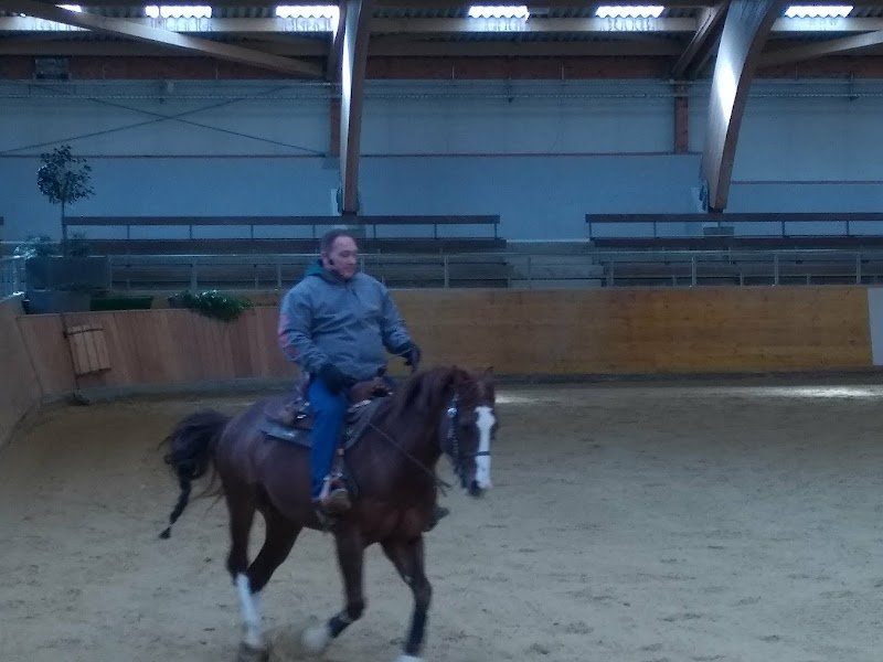 HorseAcademy - photo 3