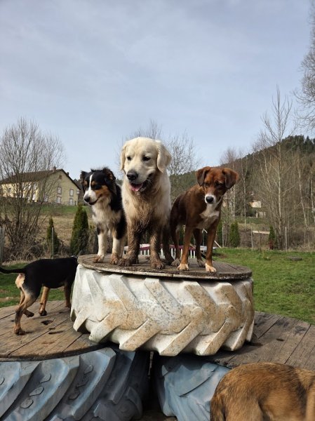 Pension kalos' - photo 2