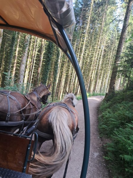 Equi'val - Maroquinerie / Balades et Randonnées à cheval