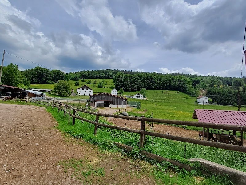 Equi'val - Maroquinerie / Balades et Randonnées à cheval - photo 2