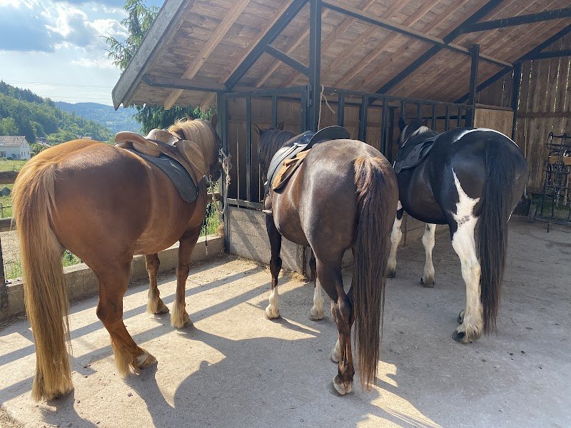 Equi'val - Maroquinerie / Balades et Randonnées à cheval - photo 3