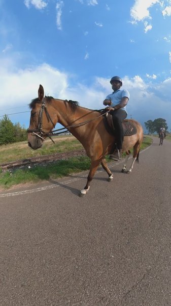 Ecurie Jumping 88 - photo 1