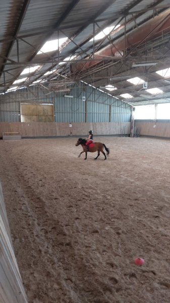 Ecurie Jumping 88 - photo 2