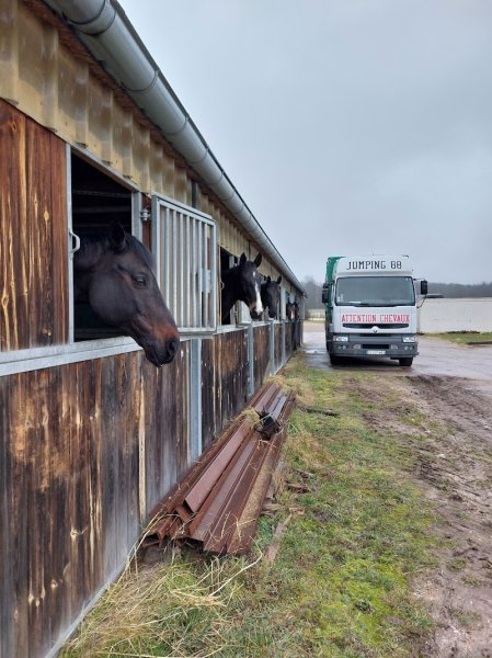 Ecurie Jumping 88 - photo 3