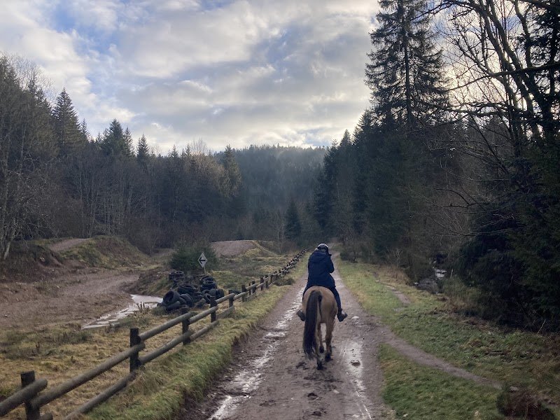 CENTRE EQUESTRE LES CRINS DE RAMBERCHAMP - photo 1