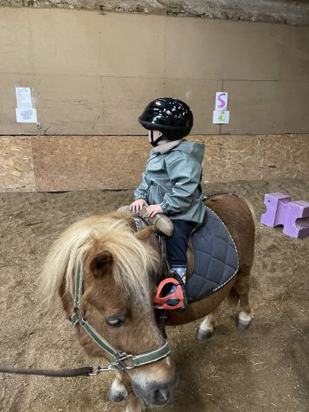 CENTRE EQUESTRE LES CRINS DE RAMBERCHAMP - photo 2
