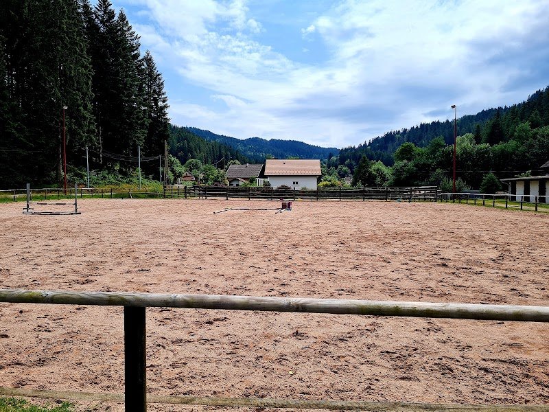 CENTRE EQUESTRE LES CRINS DE RAMBERCHAMP - photo 3