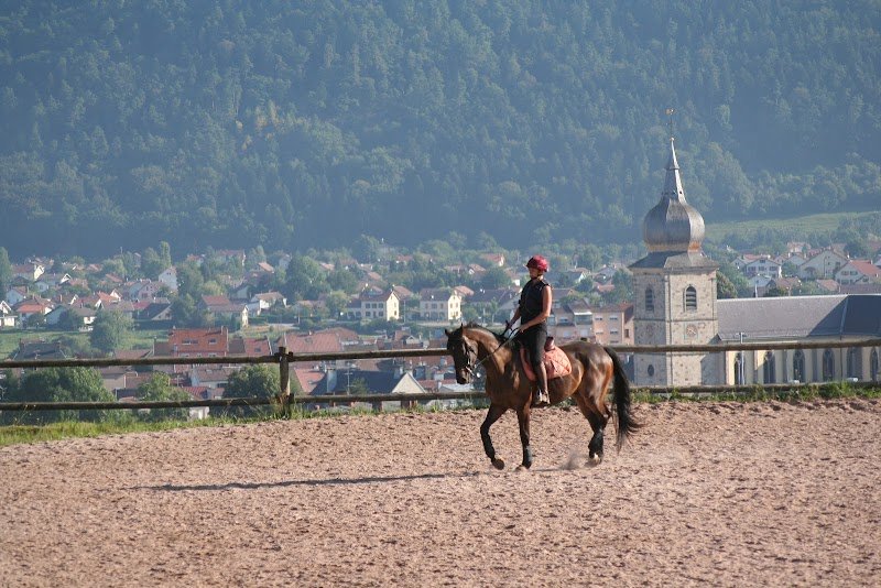CENTRE EQUESTRE DE LA GRANGE PUTON