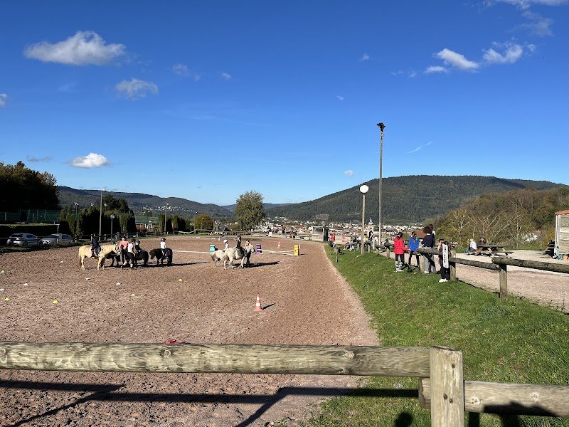 CENTRE EQUESTRE DE LA GRANGE PUTON - photo 2