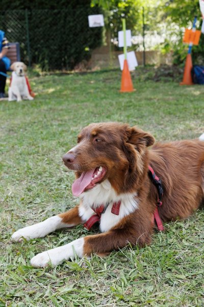 Domaine de la roche du loup pension éducation