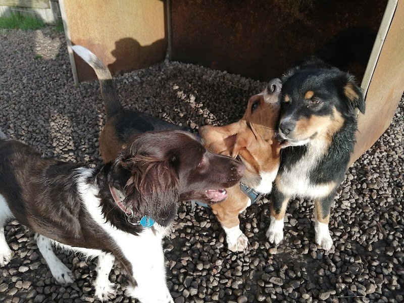 Domaine de la roche du loup pension éducation - photo 2