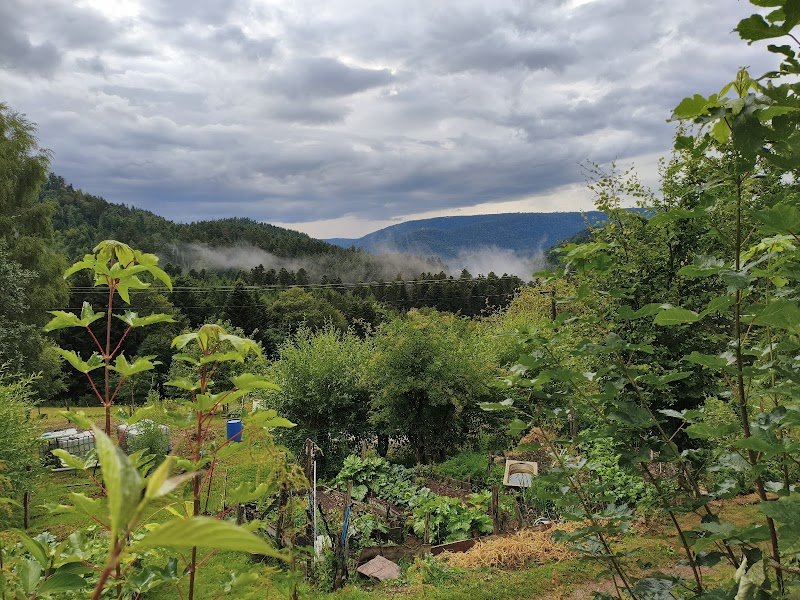 le Roupillon du Franould - photo 2