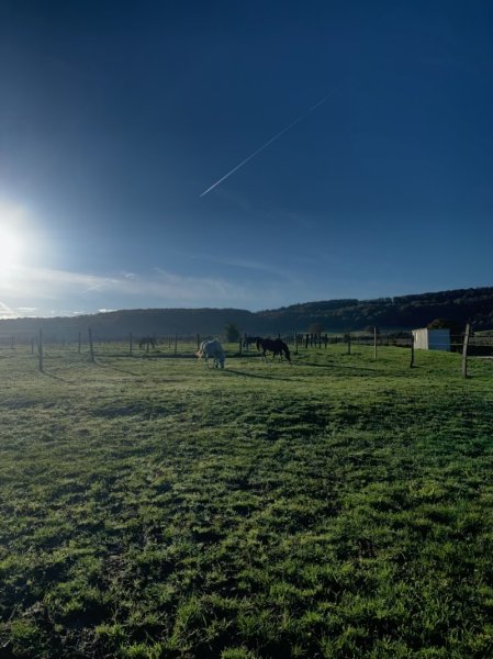 ÉCURIES de MONTFORT - photo 2