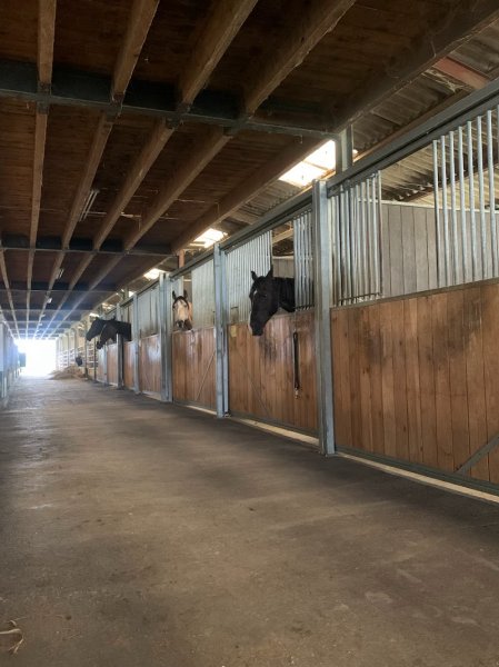 ÉCURIES de MONTFORT - photo 3