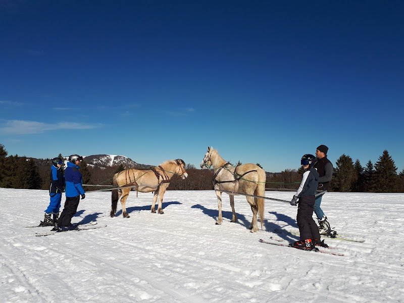 Centre Hippique la Jumenterie - photo 2
