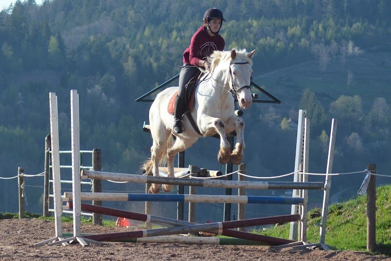 Centre Hippique la Jumenterie - photo 3