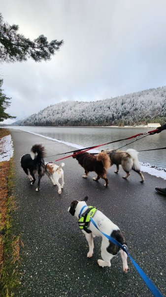 Pension ubert&co - photo 2