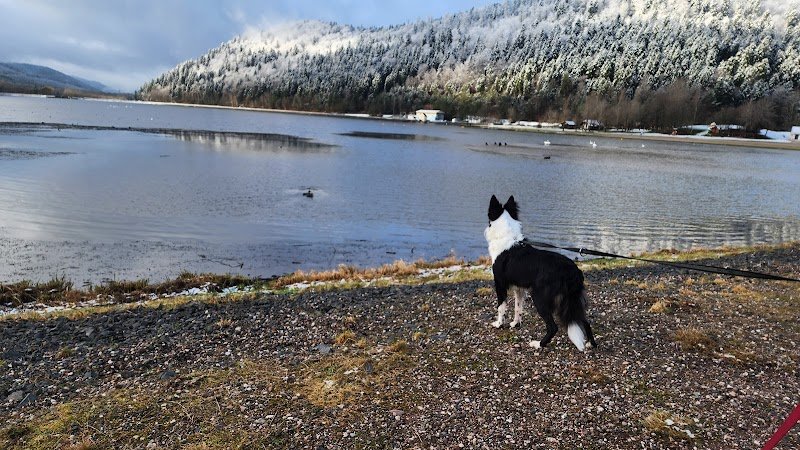 Pension ubert&co - photo 3