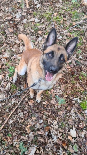 Pension L'Etoile - photo 2