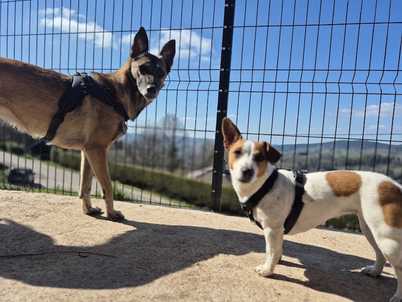 Pension L'Etoile - photo 3