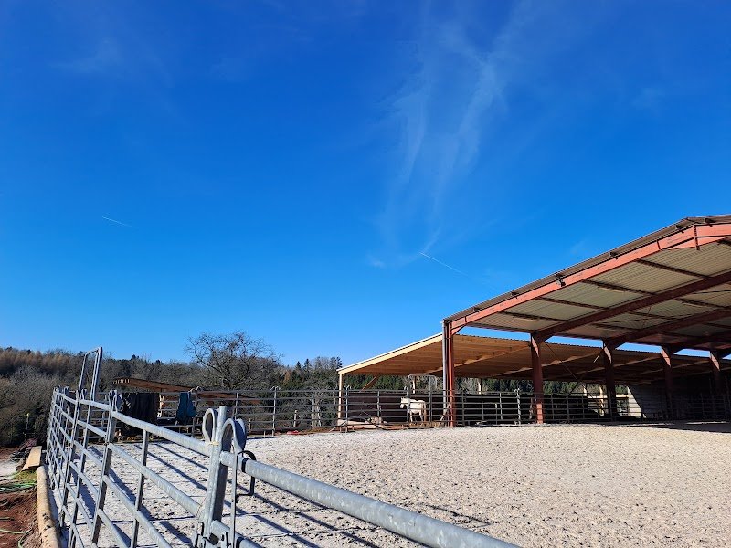 White Wood Farm - photo 2