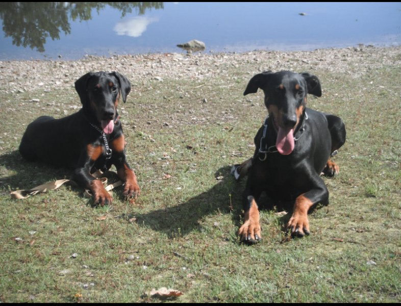 EURL pension des dames chanoinesses - photo 1
