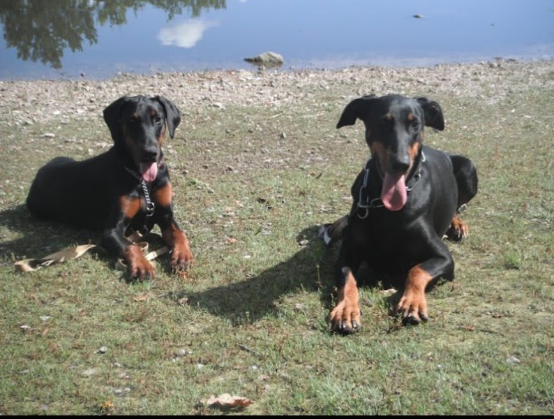 EURL pension des dames chanoinesses - photo 2