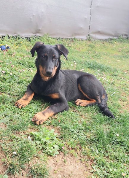 EURL pension des dames chanoinesses - photo 3